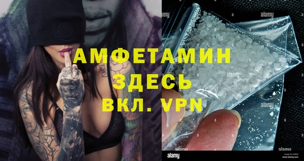 ECSTASY Алзамай