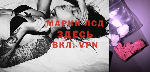 ECSTASY Алзамай
