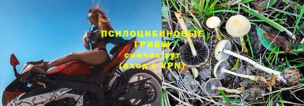 МДПВ Абинск