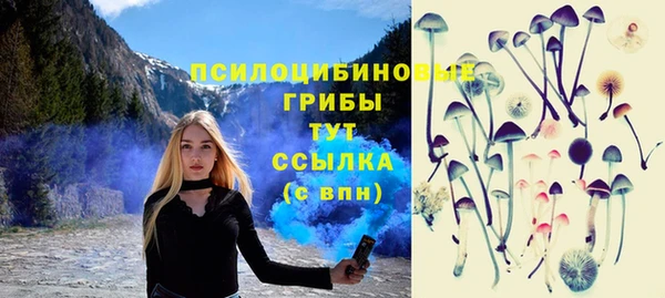 героин Алексин