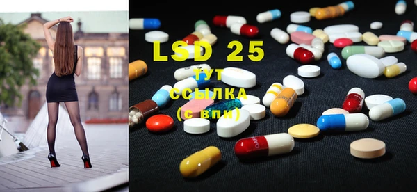 ECSTASY Алзамай