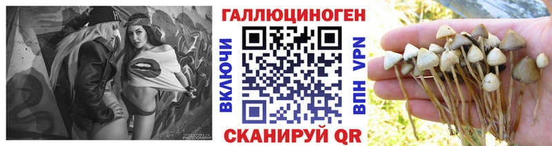 hydra как зайти  Дно  Галлюциногенные грибы мицелий 