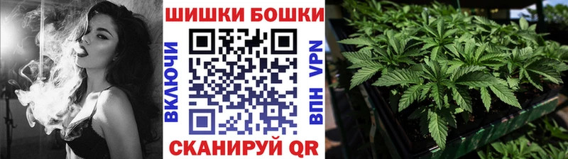 Шишки марихуана Amnesia  продажа наркотиков  OMG зеркало  Дно 